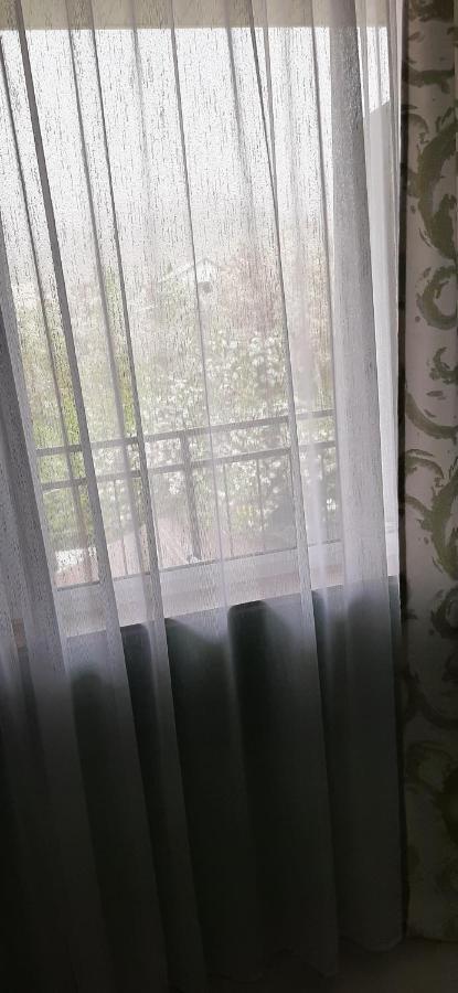 Olga Guest House 乔尔蓬阿塔 外观 照片