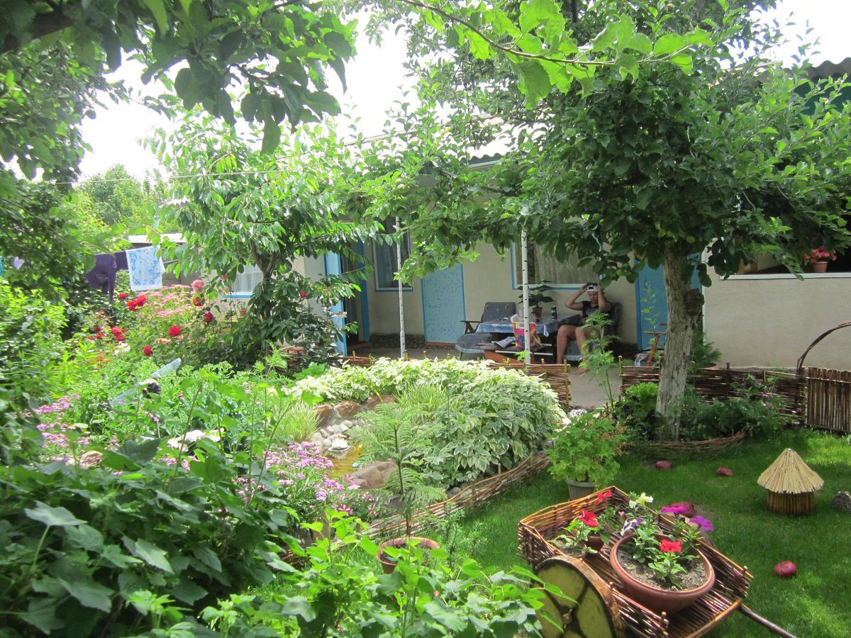 Olga Guest House 乔尔蓬阿塔 外观 照片