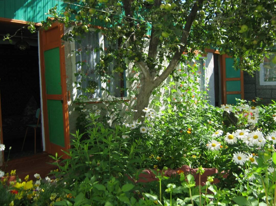 Olga Guest House 乔尔蓬阿塔 外观 照片