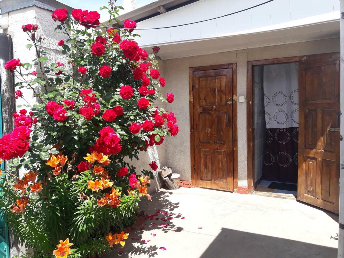 Olga Guest House 乔尔蓬阿塔 外观 照片