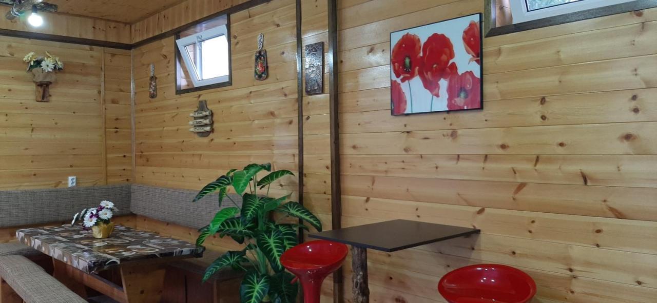 Olga Guest House 乔尔蓬阿塔 外观 照片