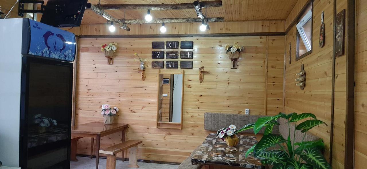Olga Guest House 乔尔蓬阿塔 外观 照片